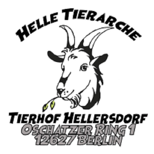 Artikelbild